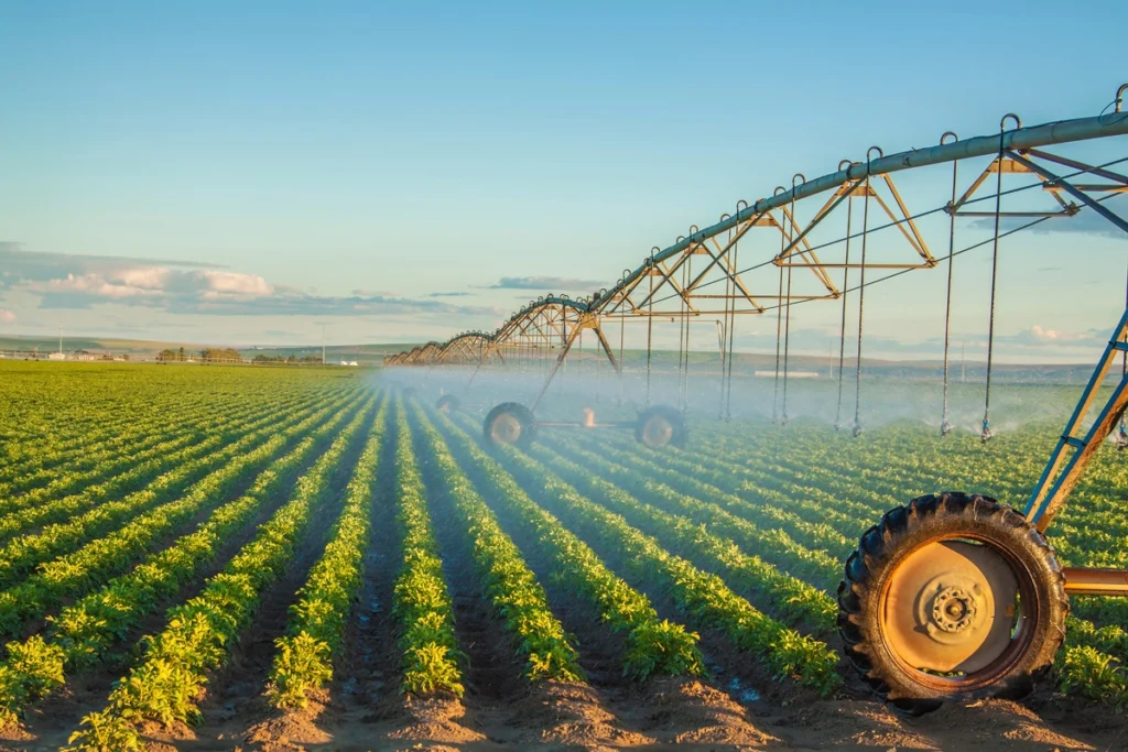 Agri-Business