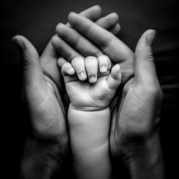 Ensuring Legacy, Longevity, and Growth through Organised Leadership Succession