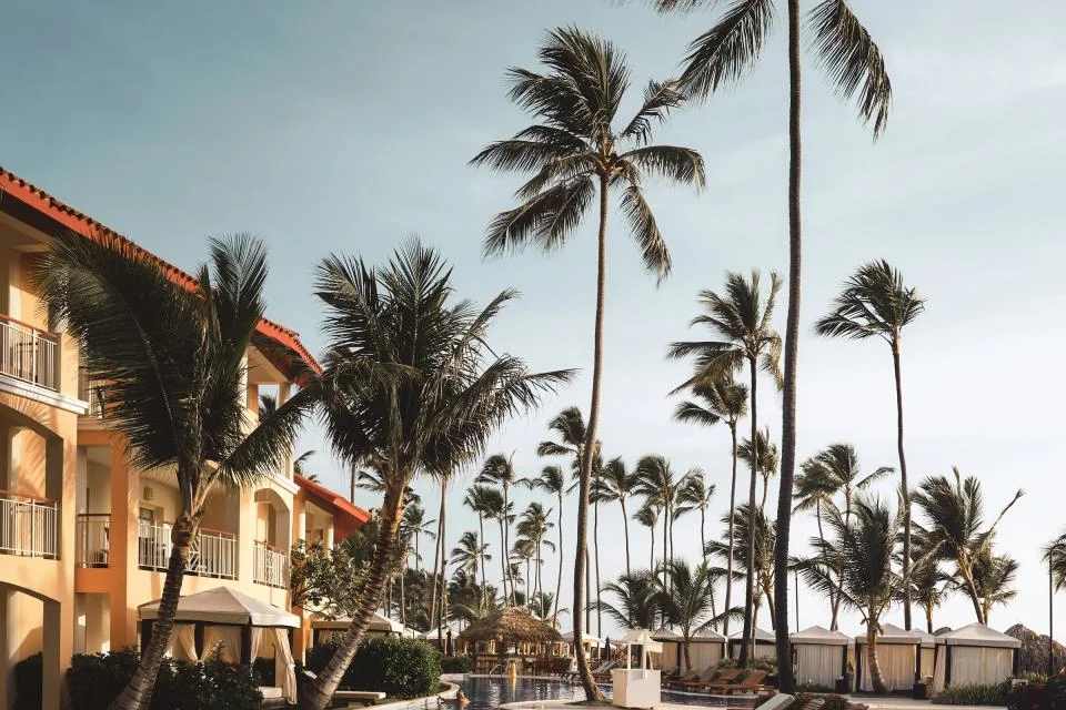 Hotels and Tourism